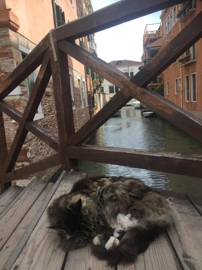 Tintoretto 4, 3 Grandi Da Letto, 2 Bagni Appartement *